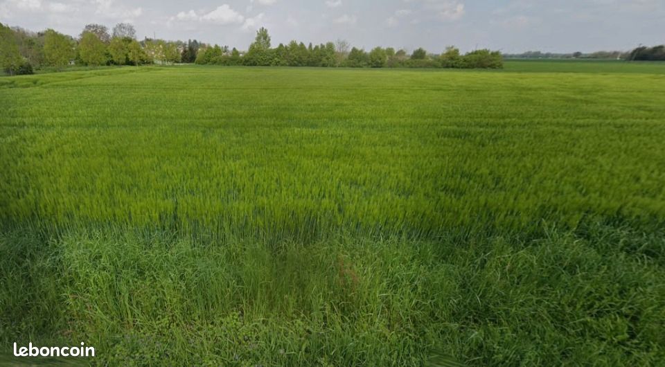 Terrain 512 m² Schlierbach · 120 000 €