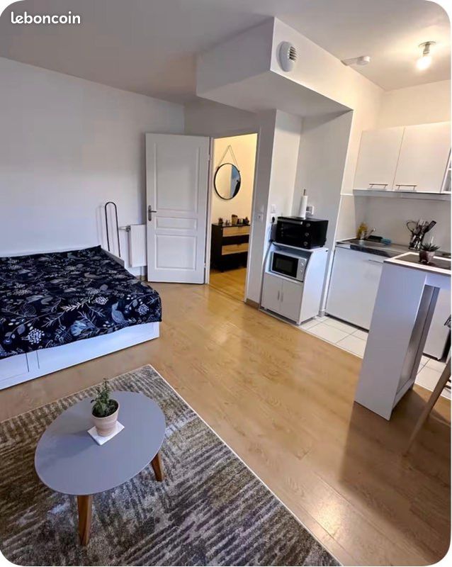 Appartement 1 pièce 30 m² · à Fleury-les-Aubrais · 30 m² · 590 €