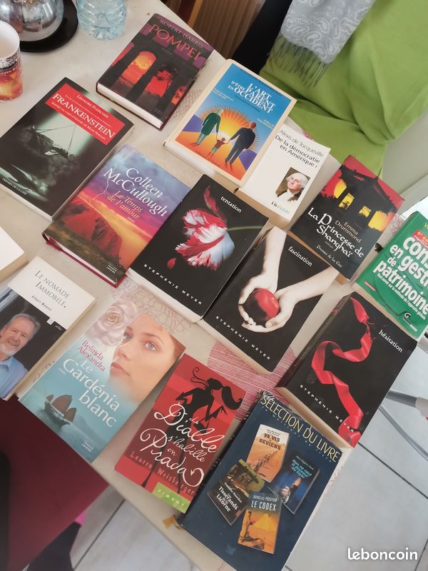 Divers livres fantastique, romance (image 3)