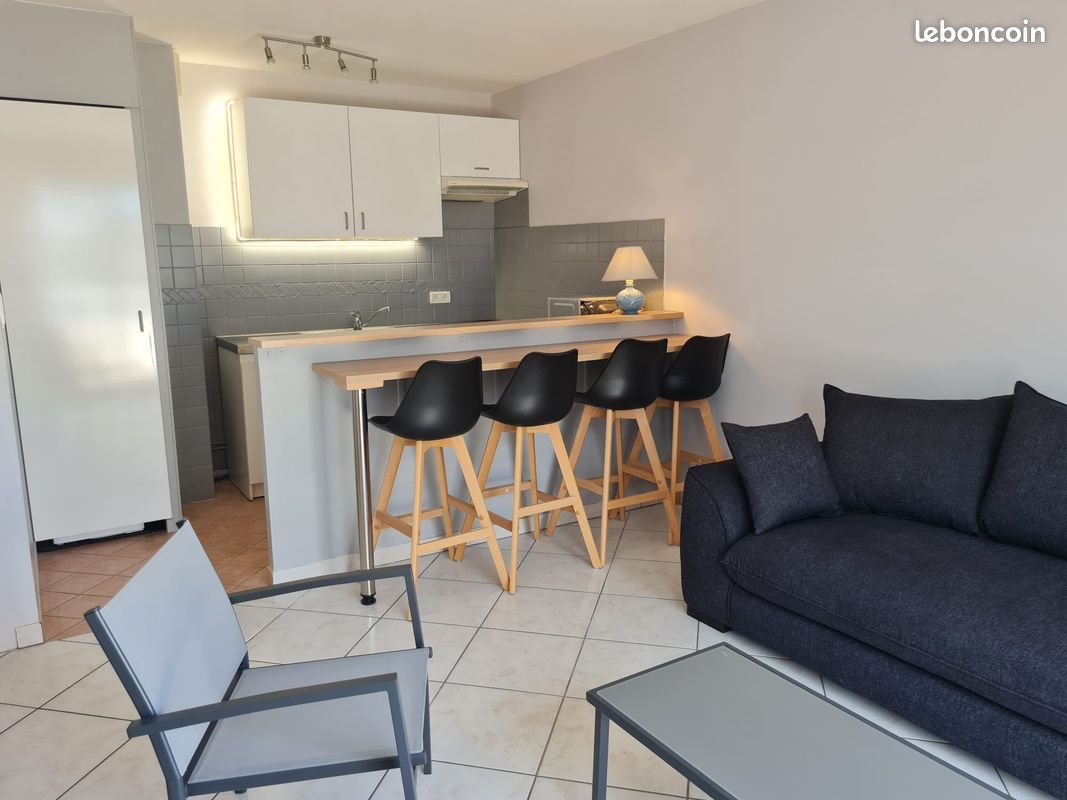 Studio 1 pièce 29 m² - Brive-la-Gaillarde 19100 (image principale 0)