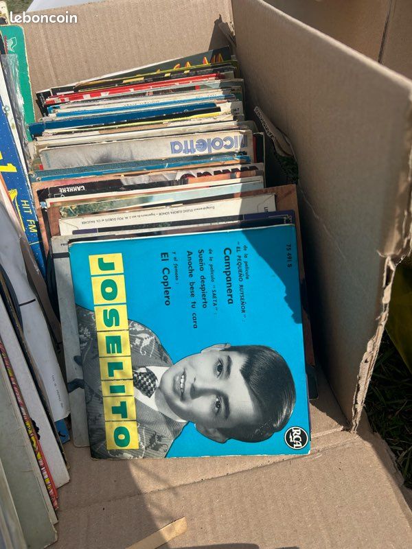 20 vinyles (image 1)