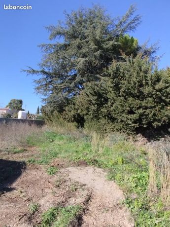 Terrain 396 m² Cournonterral