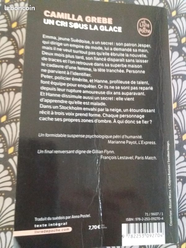 Un cri sous la glace de Camilla Grebe (image 2)