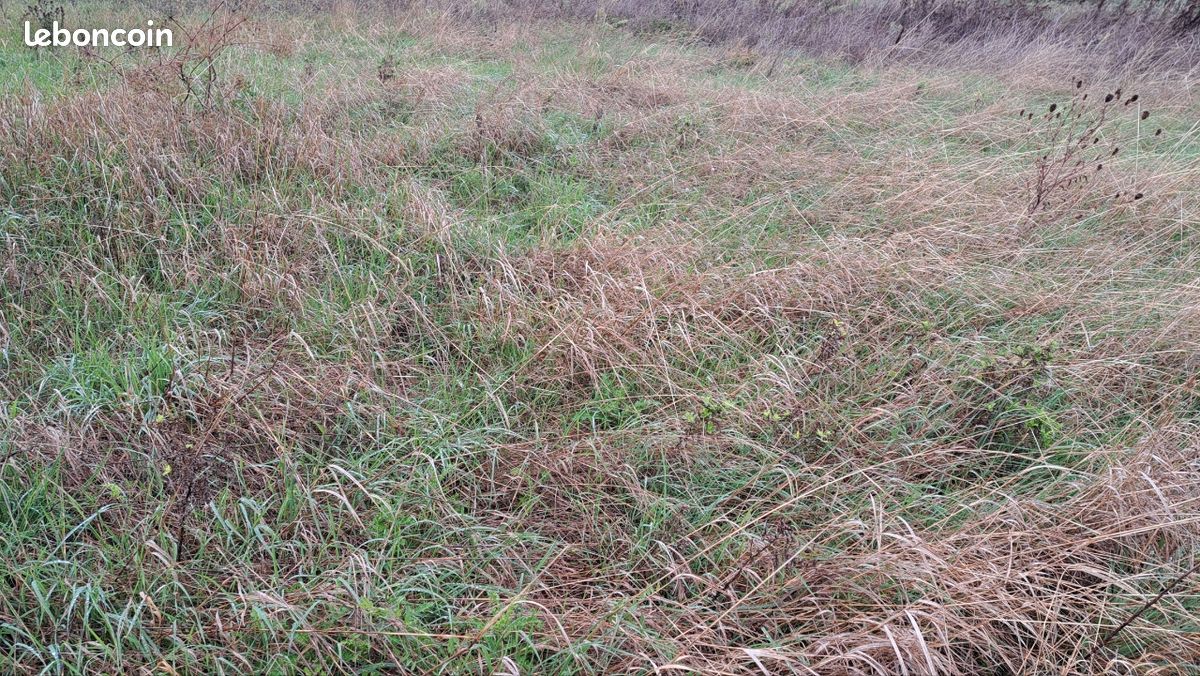Terrain construtible lotissement 740m2m2 · à Albi · 100 000 €