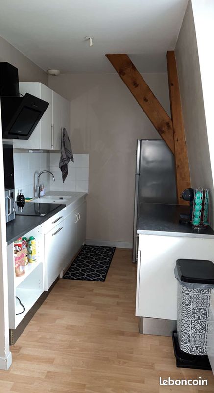 Appartement POITIERS proche ttes facultés, CHU, centre ville - Poitiers 86000 (image principale 0)