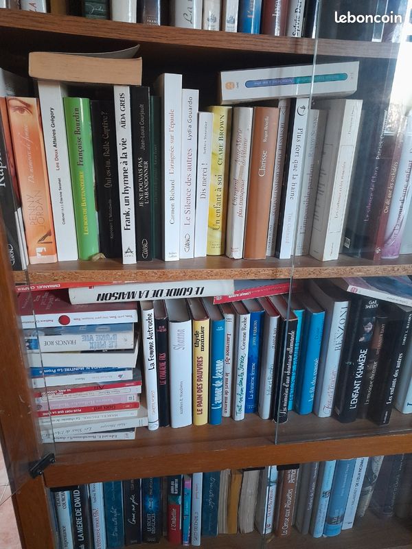 Romans à lire (image 3)