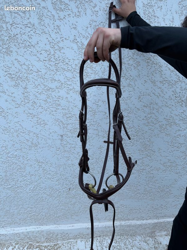 Filet cheval (image 1)