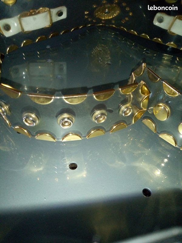 Superbe ceinture plastique et agrémentée de doré (image 3)