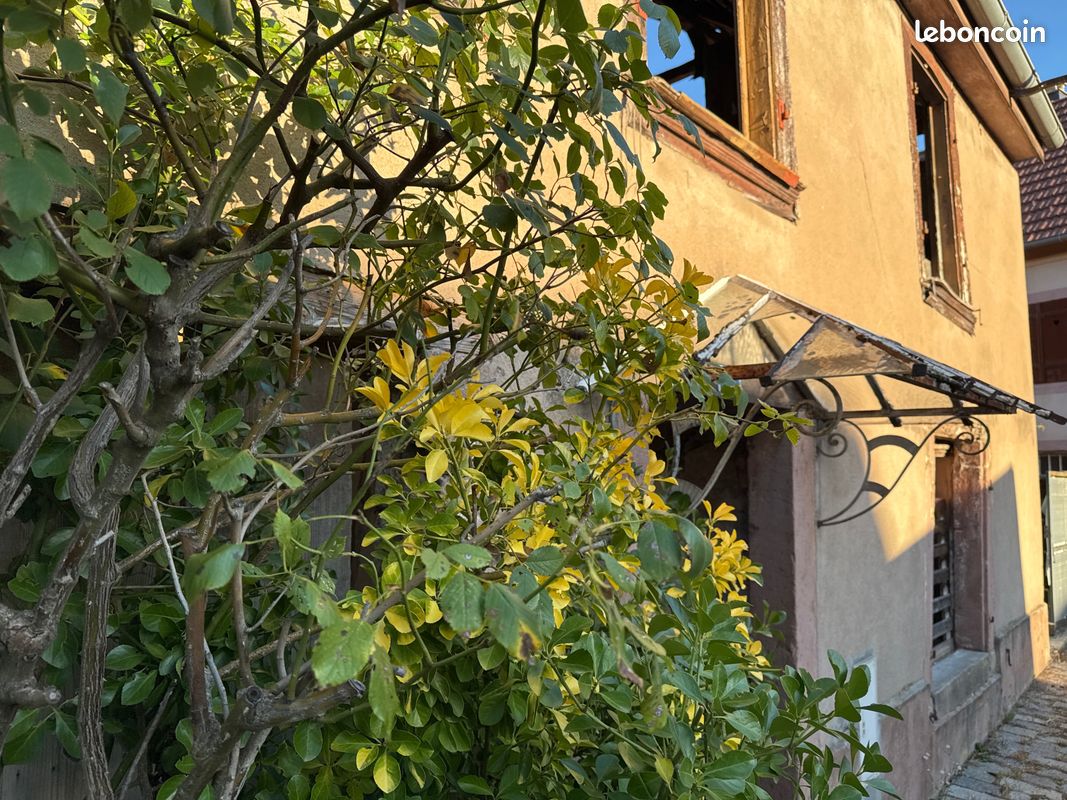 Maison 5 pièces 100 m² · à Villé · 100 m² · 57 000 €