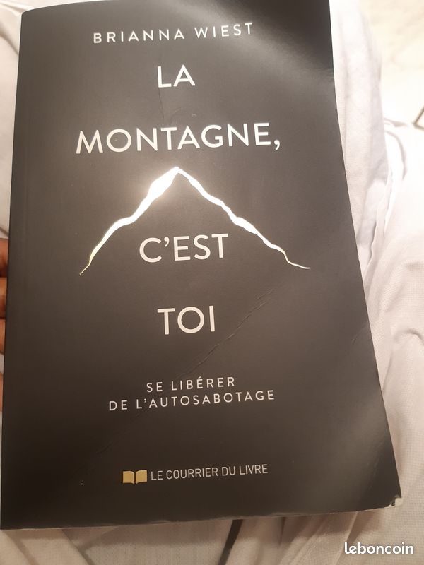 Uniquement en Martinique Livre La montagne c´est toi de Brianna wiest (image 1)