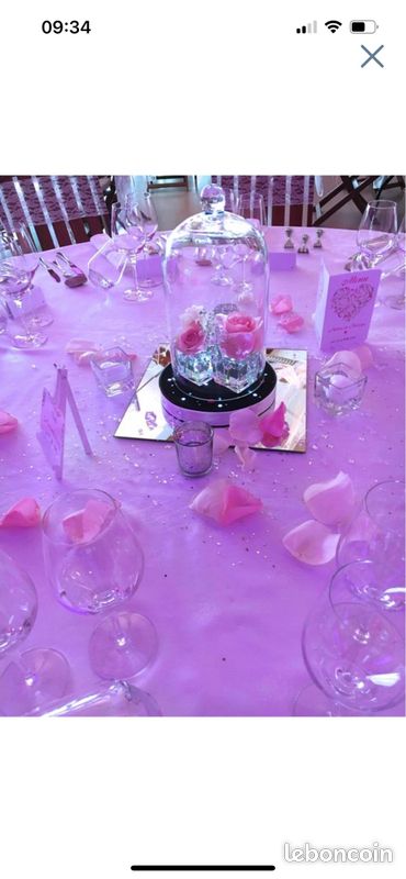 Cloche en verre (image 2)