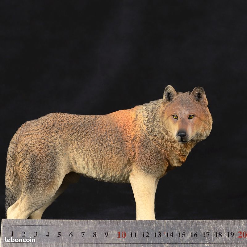 Mr.Z 1:6 Scale Steppe Wolf Model Wild Animal Figure Toy Collection - Jeux & Jouets
