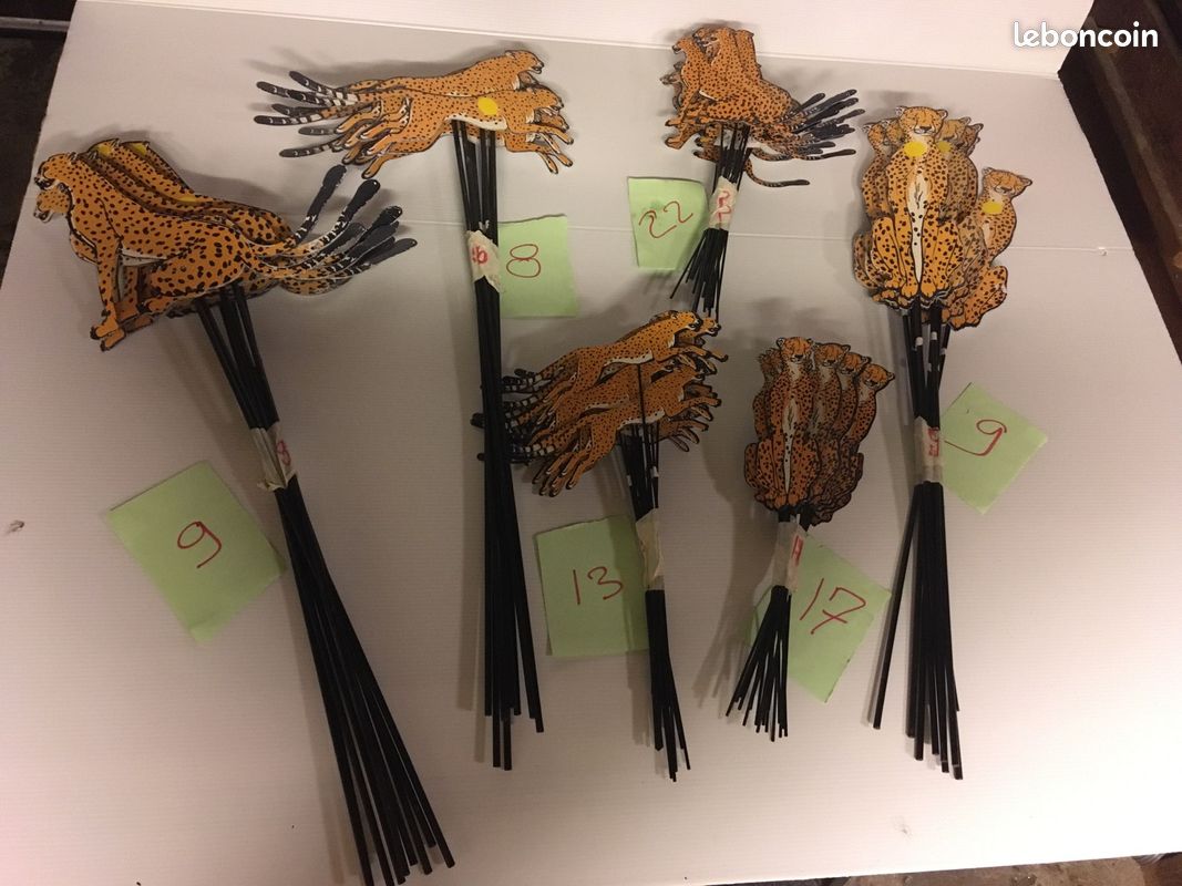 Décoration TIGRE (image 3)