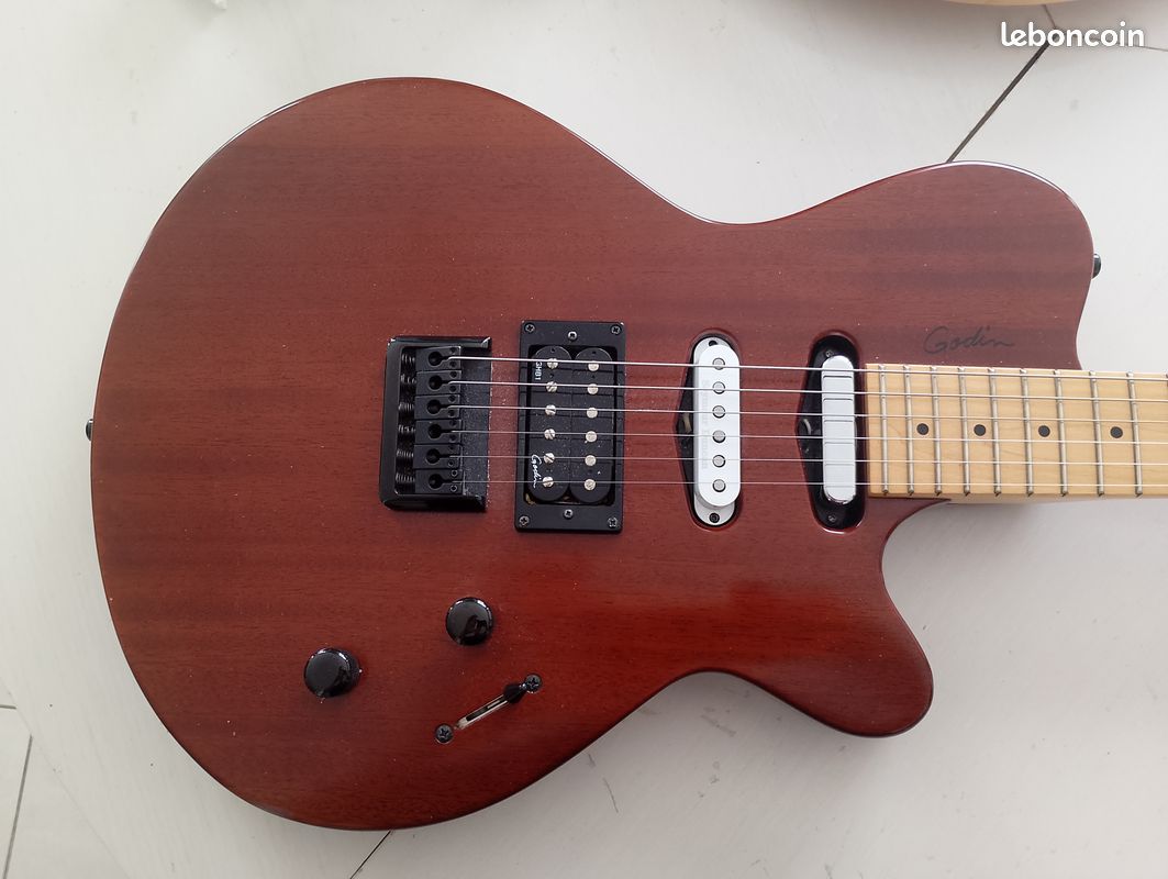 Guitare godin exit22s (upgradé) (image 1)