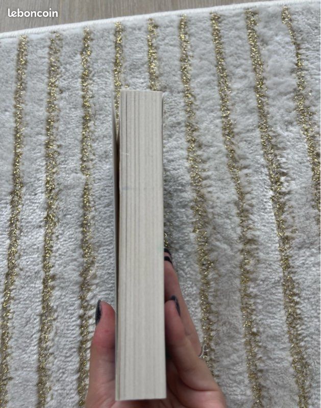 Livre : la femme de ménage (image 4)