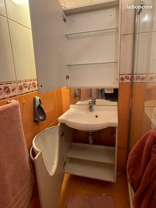 Ensemble vasque et armoire miroir (image 1)