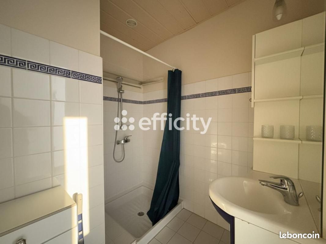 Maison 10 pièces 255 m² (image 17)