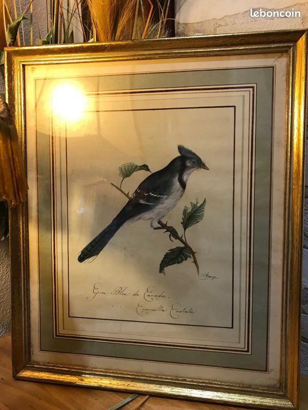 Tableau oiseau (image 2)