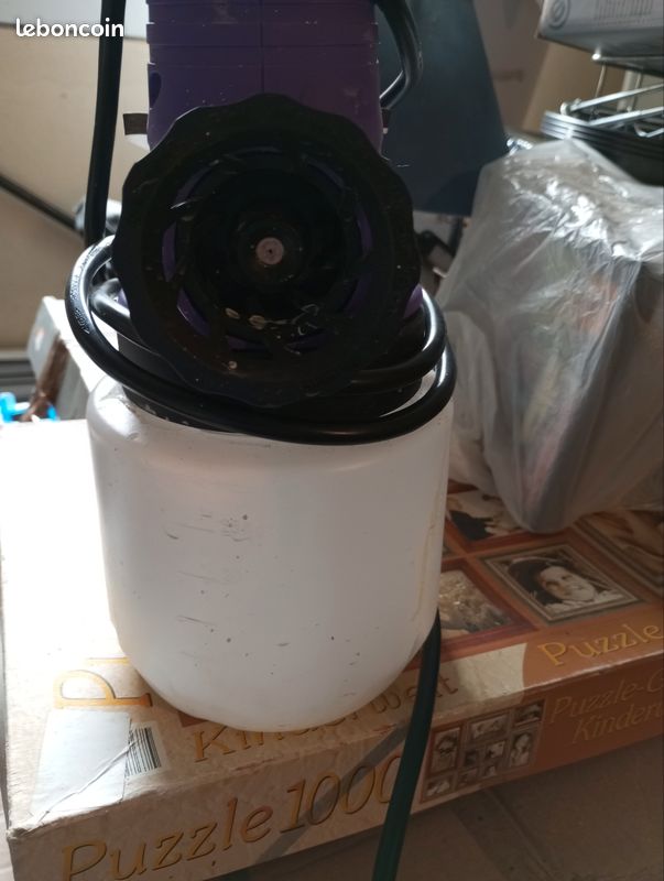 Ansicht des Pistolo Casino Interfaces auf einem Mobilgerät