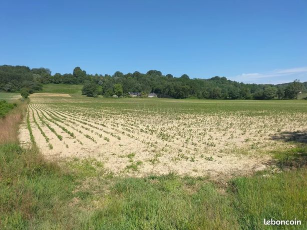Terrain 97000 m² Gabaston