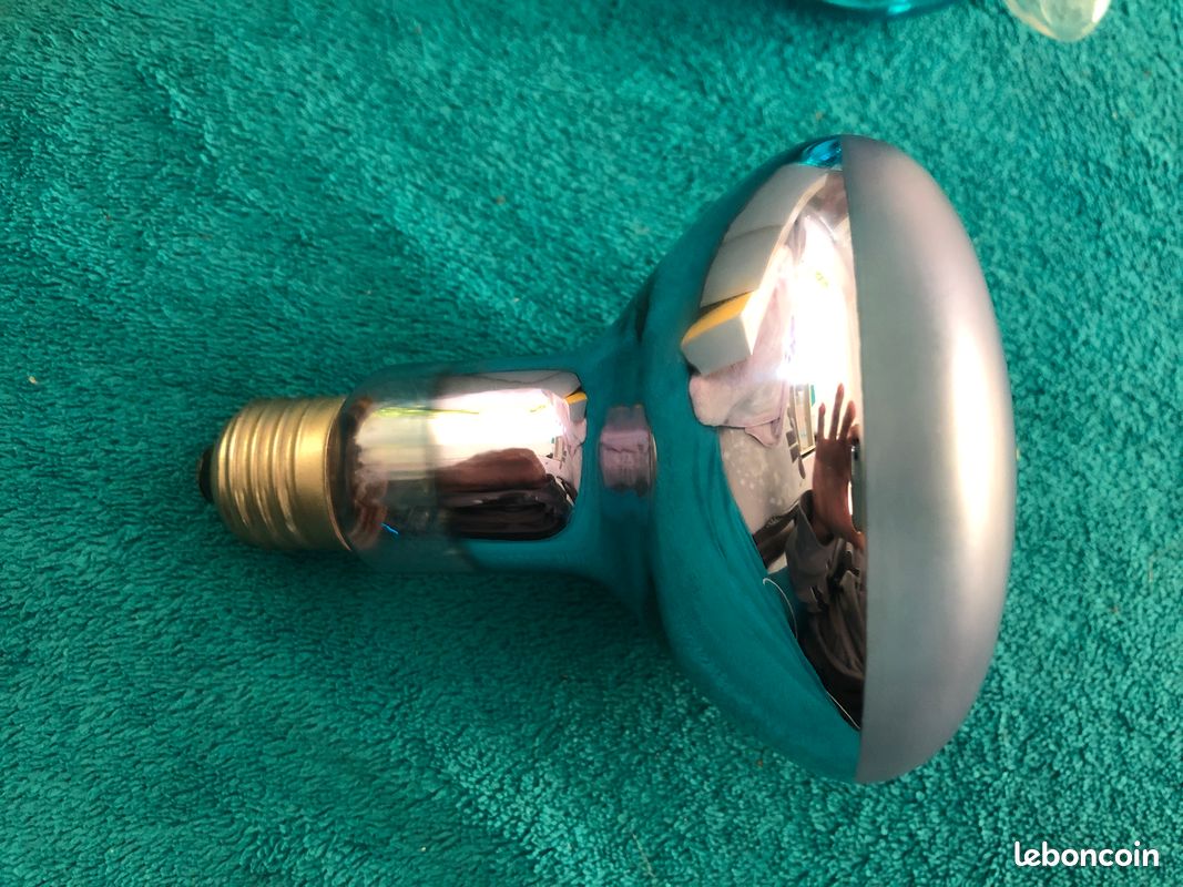 Ampoule 100W E27 OSRAM CONCENTRA RÉFLECTEUR R95 (image 1)