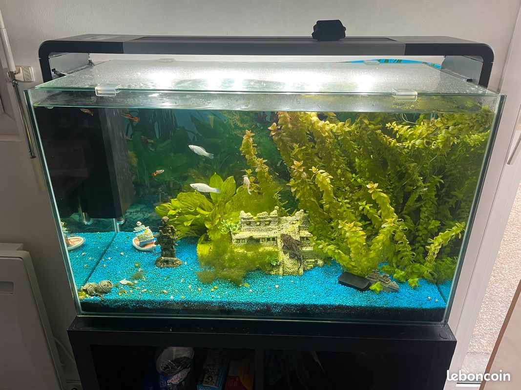 Aquarium 120L (image 1)