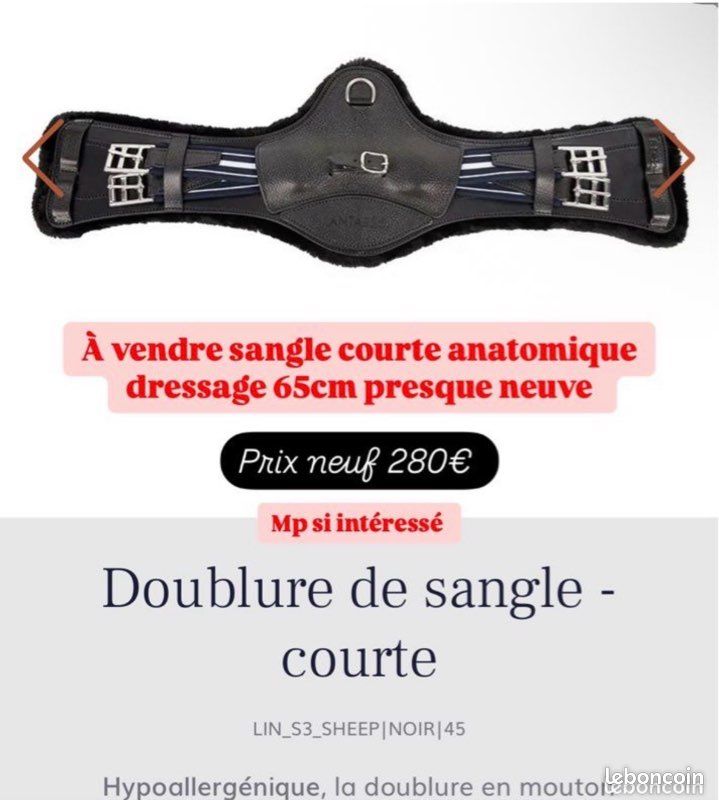 Sangle antares courte (image 1)