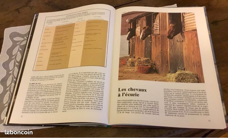 BIEN MONTER A CHEVAL EDITIONS GRUND très bon état (image 16)