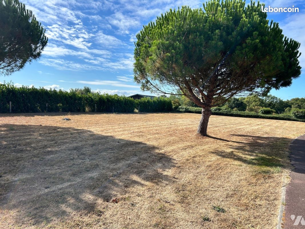 Terrain 800 m² · à Blainville-sur-Mer · 800 m² · 233 200 €
