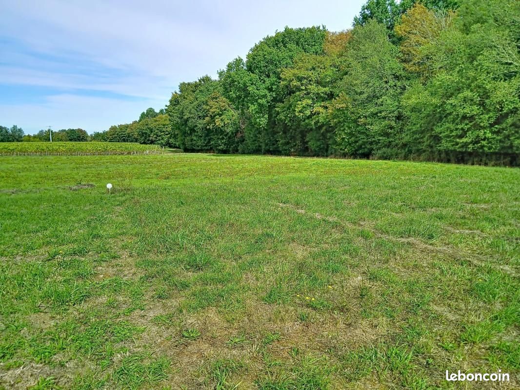 Terrain 1 222 m² Mazerolles · 39 000 €
