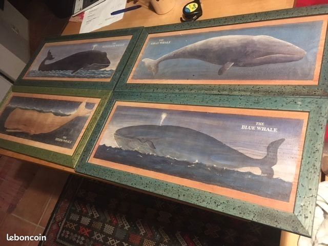 4 cadres Baleine (image 1)