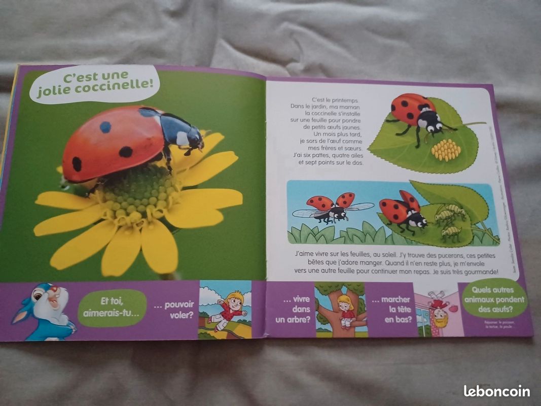 Livres Bambi (image 4)