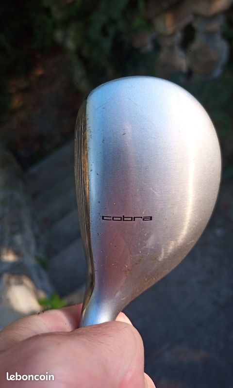 Hybride Cobra (image 2)