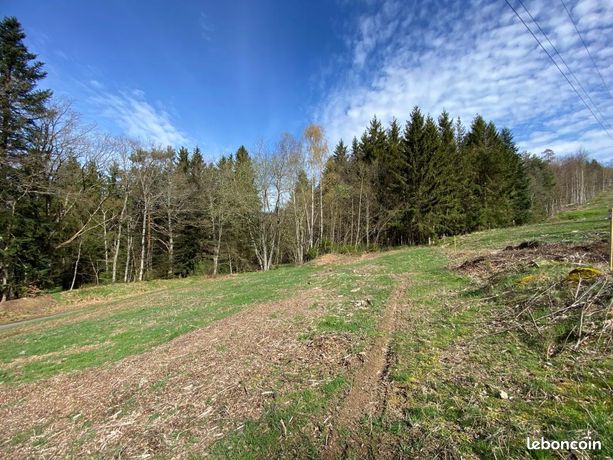 Terrain 1 493 m² Anould