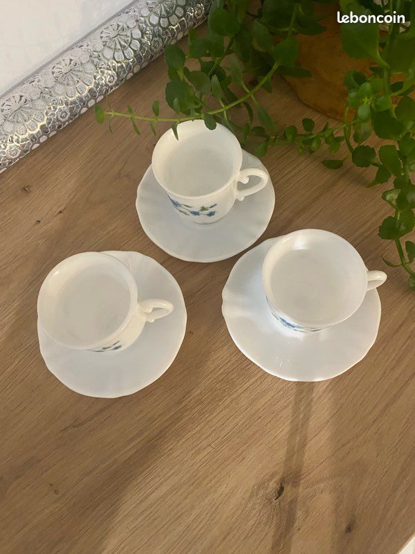 Lot 6 tasses et soucoupes vintage ARCOPAL myosotis - Arts de la table