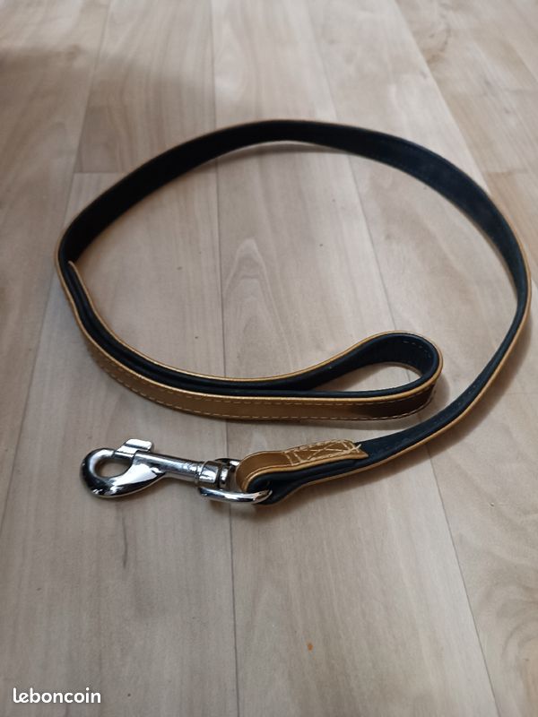 Laisse chien 90 CMS neuve dorée mousqueton (image 1)