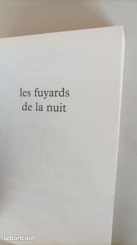 Les fuyards dans la nuit (image 4)