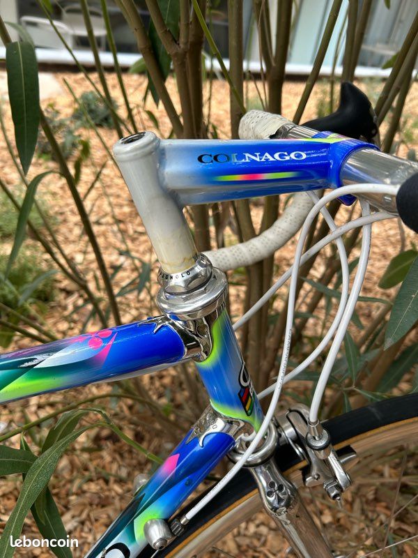 Colnago Master Olympic Campagnolo Record Titanium 8 Shamal (image 2)