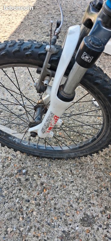 Vélo VTT enfant 20 pouces bleu (image 3)