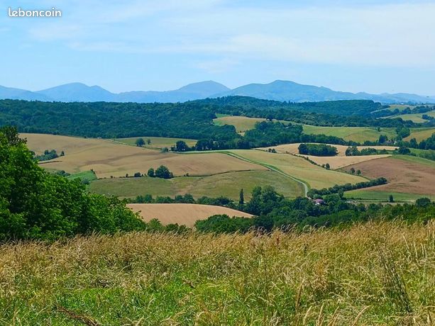 Terrain 50 000 m² Bidache
