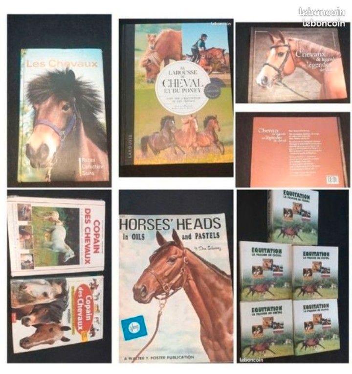 Lot livres + classeurs chevaux équitation (image 1)