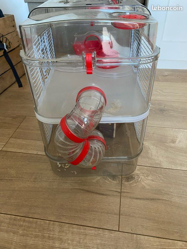 Cage hamster Rody3 (image 3)