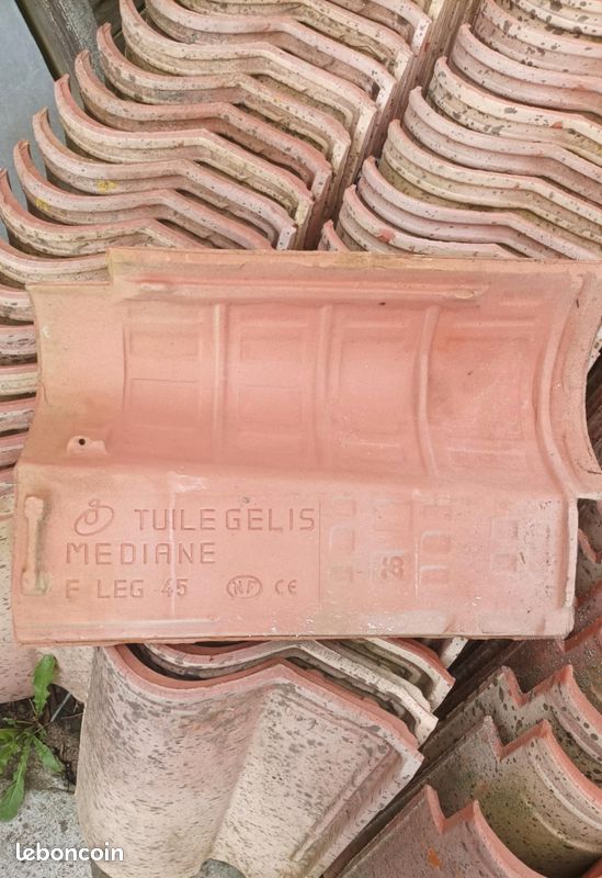 Tuile Romane gelis (image 2)