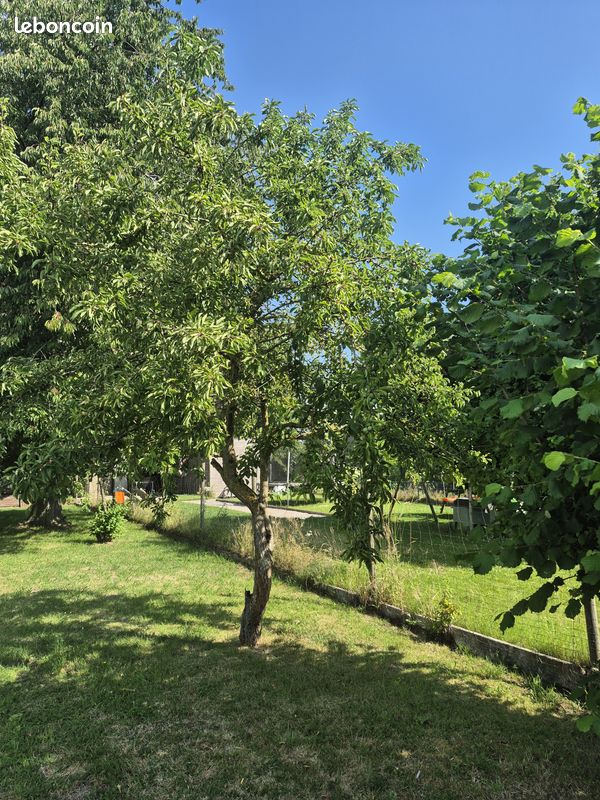 Maison 3 pièces 90 m² · à Toufflers · 90 m² · 278 250 €