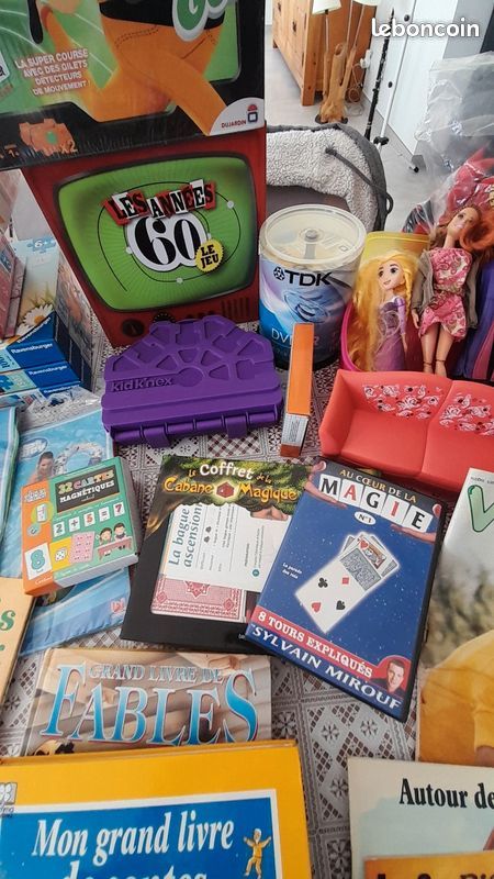 Gros lot de jouets, puzzles, livres, Lego, Barbie, micro karaoké, palmes, bottes de neige, jeux Meccano, valise éléphant : tout doit partir (image 11)