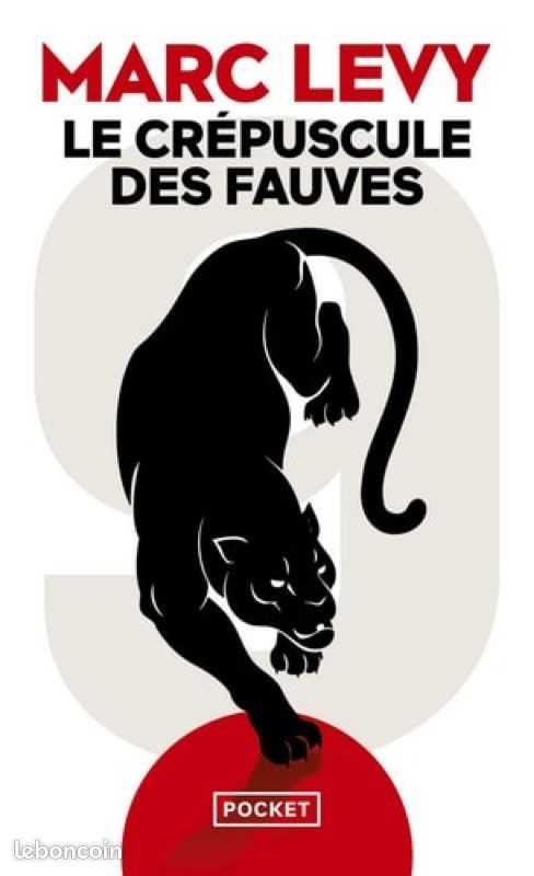 Livre de Marc Lévy (image 1)