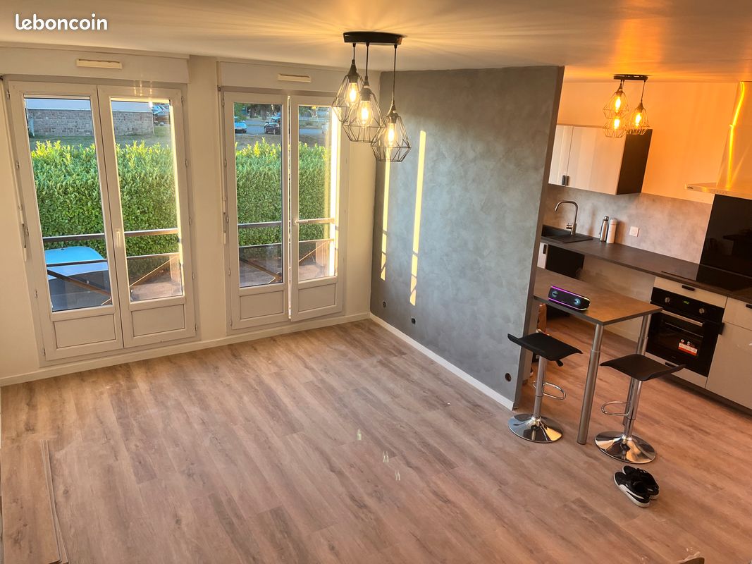 T2 48 m2 - Limoges 87000 (image principale 2)