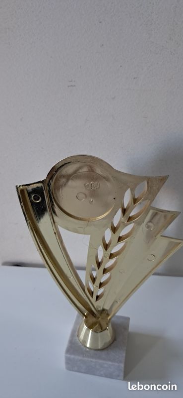Coupes sportives Trophées (image 7)
