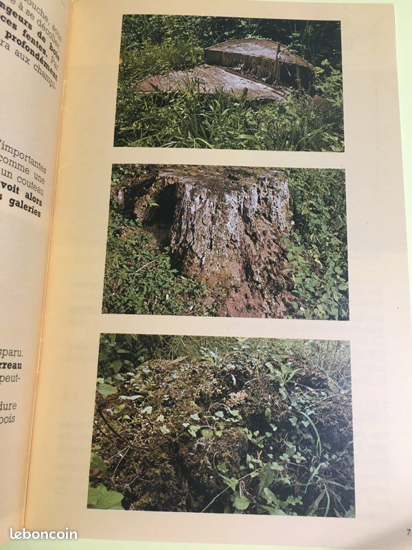 Bibliothèque du Travail 890 La souche du bois à l’humus (image 2)