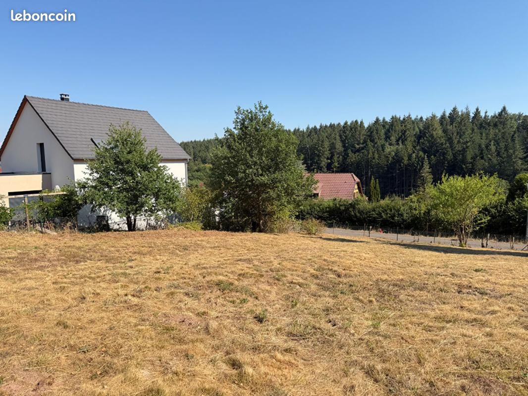 Terrain 700 m² Oberhaslach · 159 750 €